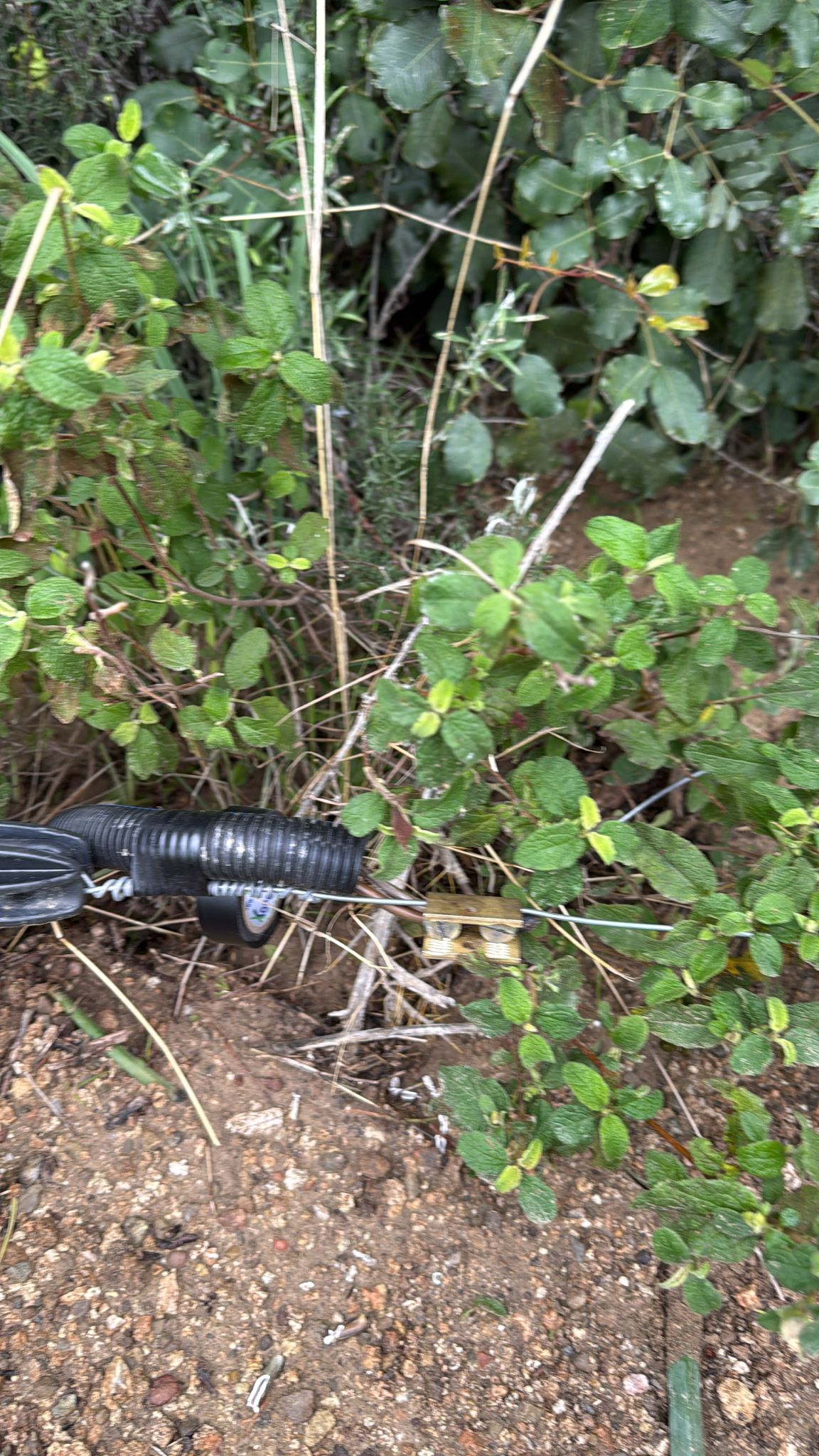 er-agtelektrik-0 (13) er-agtelektrik-0 (13)