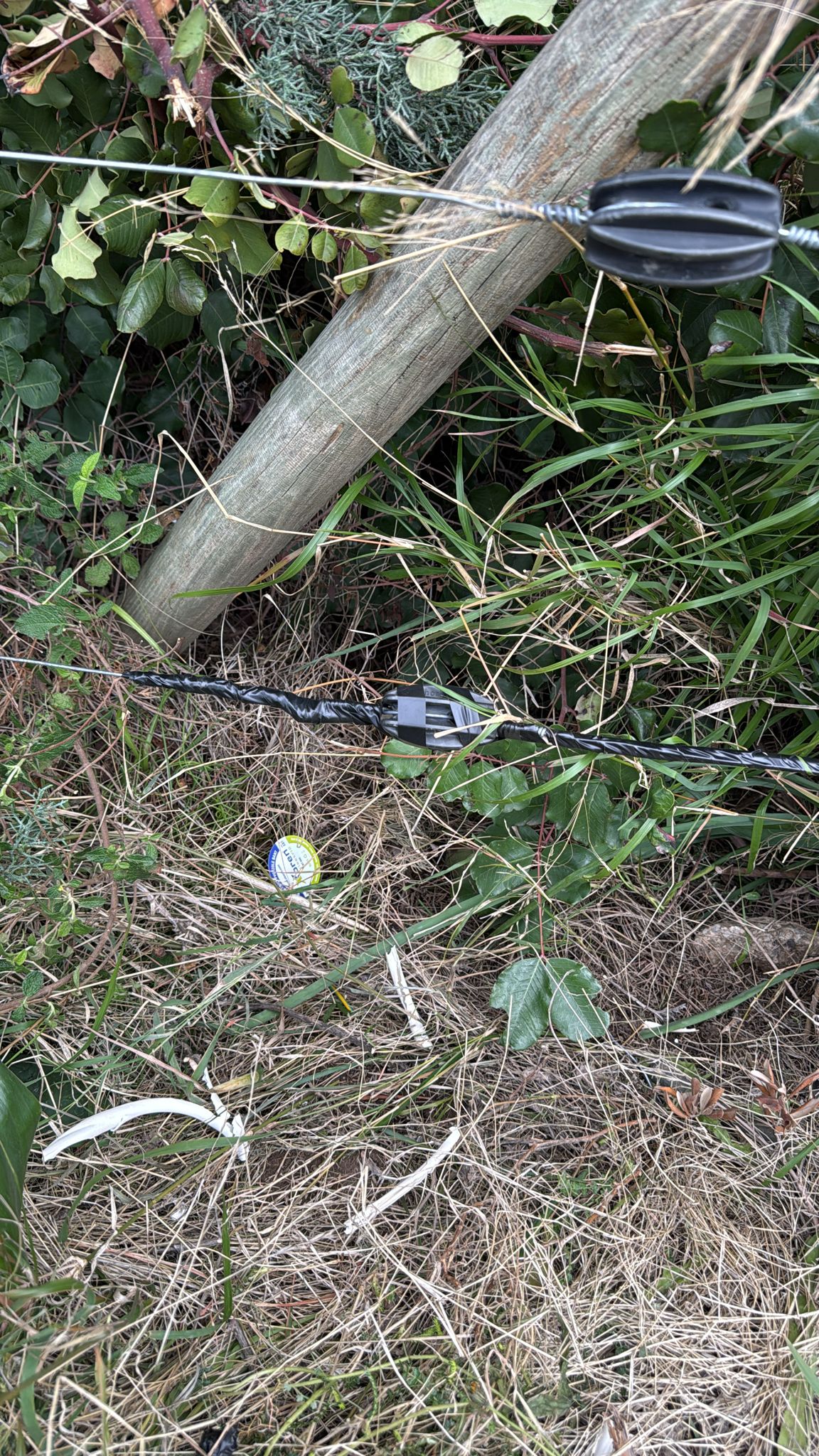 er-agtelektrik-0 (14) er-agtelektrik-0 (14)