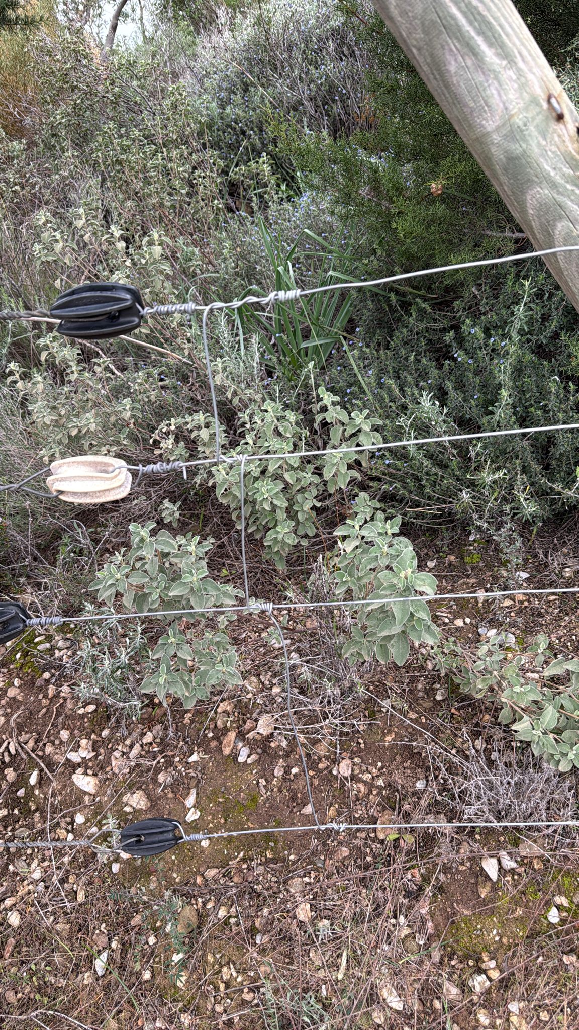 er-agtelektrik-0 (17) er-agtelektrik-0 (17)