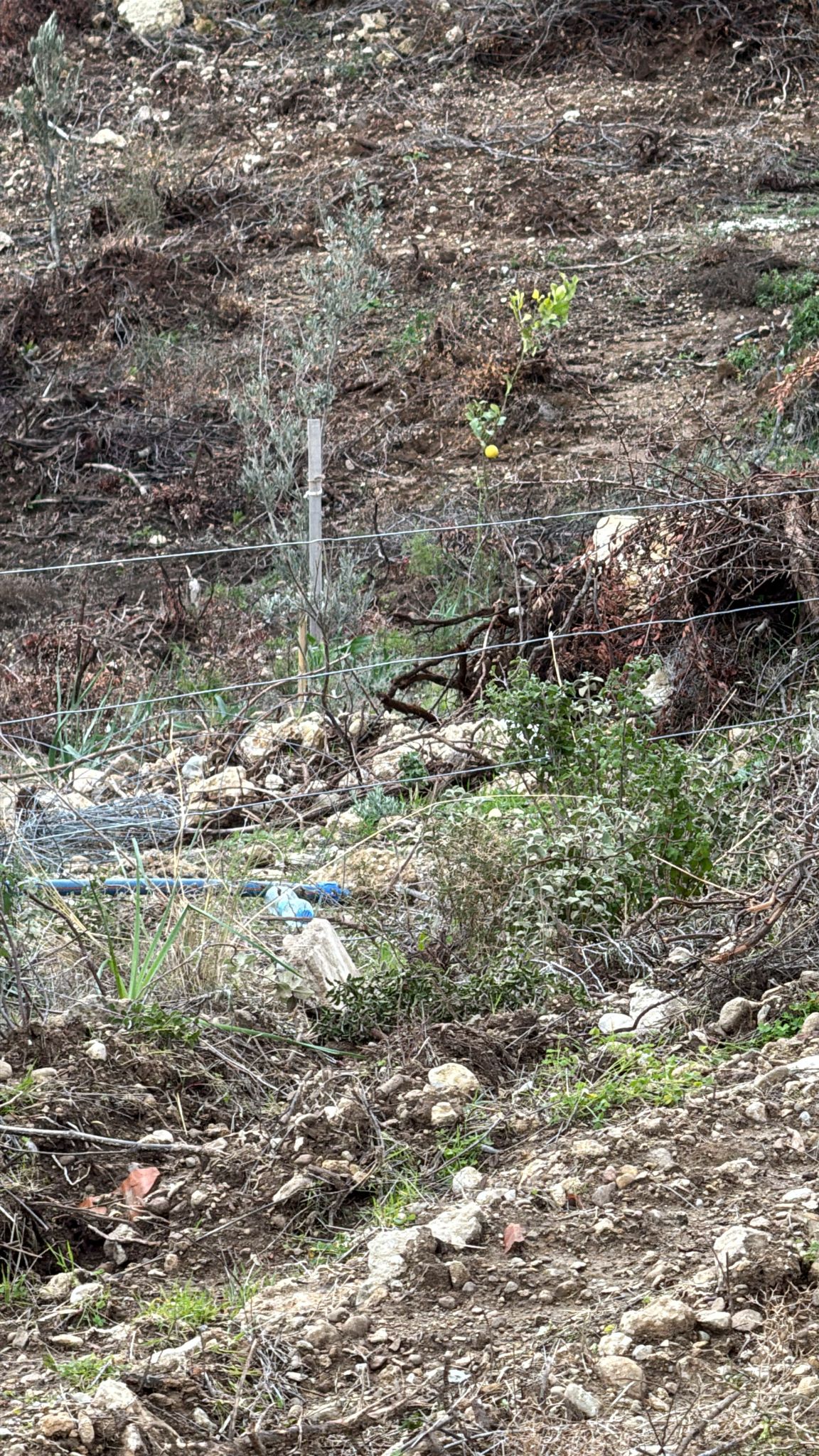 er-agtelektrik-0 (2) er-agtelektrik-0 (2)