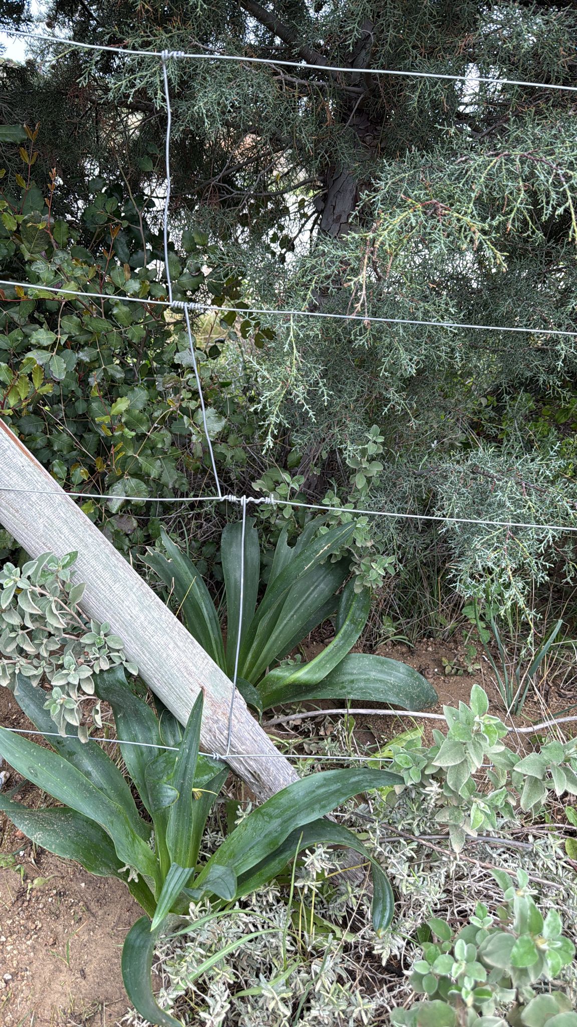 er-agtelektrik-0 (7) er-agtelektrik-0 (7)